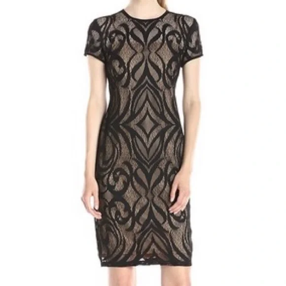 Taylor | Dresses | Taylor Black Mesh Lace Overlay Dress Sz 6 | Poshmark